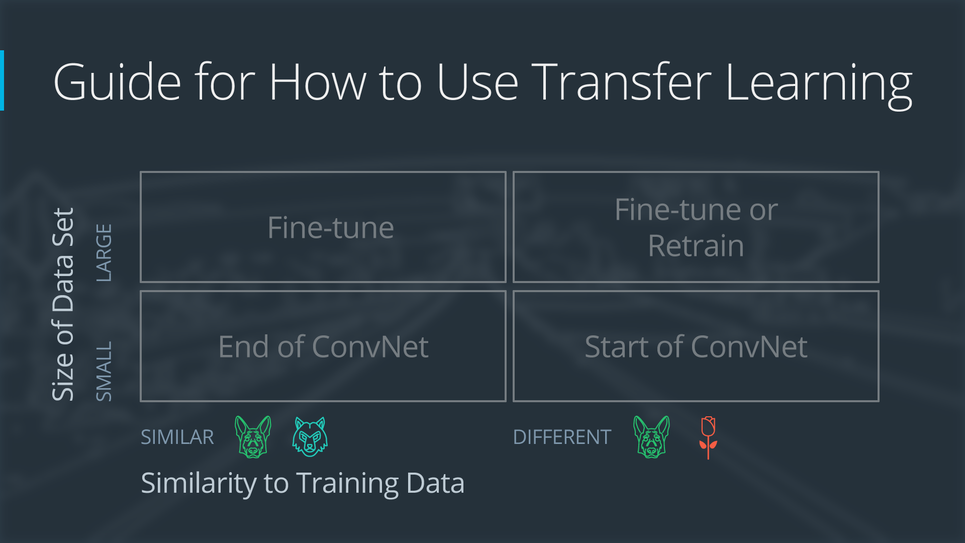 Four Cases when Using Transfer Learning